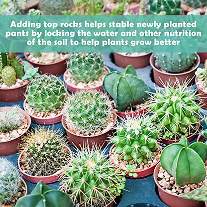 2LBS Horticultural Succulent Rocks Bonsai Mix Succulent Potting Mix Lava Rocks Cactus Soil Potting Mix Amendment - color: Golden Crystals