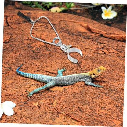 BESPORTBLE 6pcs Flexible Reptile Dome Clamp Lamps Holder Heat Lamps Clip for Turtle Tank Reptile Light Fixture Aquarium Stand Adjustable Clamp