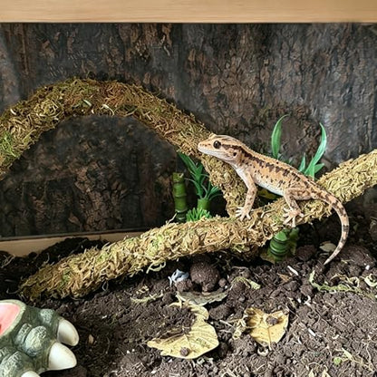 2PCS Leopard Gecko Climbing Toys Bendable Moss Vine Hermit Crab Tank Accessories for Lizards Leopard Geckos Chameleons Frogs 15 Inch (2)