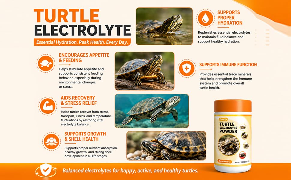 Turtle Electrolyte Powder—Promotes Appetite and Vitality—Contains Probiotics and Vitamins (2.82 oz) Banana Flavor | Promotes Appetite and Vitality—Contains Probiotics and Vitamins