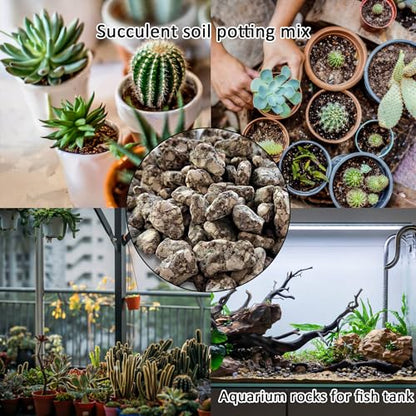 Succulent Cactus Soil Potting Mix:Indoor Bonsai Soil for Plants,Orchid Potting Mix,Aquarium Rocks for Fish Tank,Gardening DIY Gravel for Plants,Drainage and Breathable,1.1 lbs/0.5kg (1.1 lbs) - style: 1.1 lbs