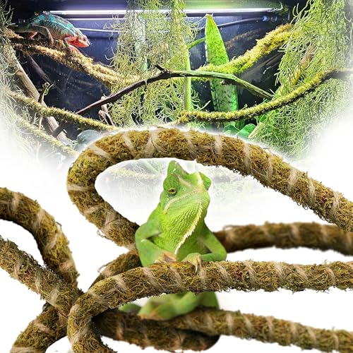 Duspro 10FT Reptile Vines for Climbing Bendable Branch for Reptile Natural Moss Rope Jungle Decor for Bearded Dragon, Chameleon Tank Accessories, Snake Gecko Lizard Terrarium - color: Green Reptile Vine - 10 Feet