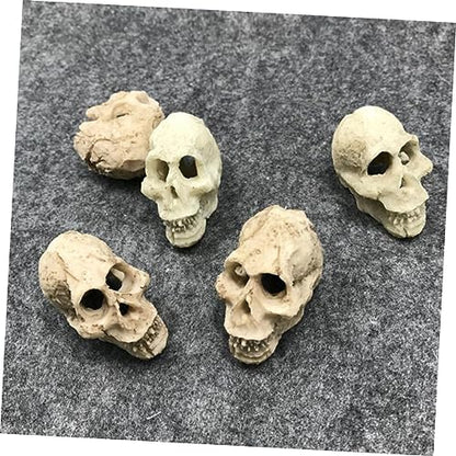 Gecko Tank Accessories 2pcs Mini Skulls for Aquarium Human Skull Aquarium Decoration Reptile Tank Decor Style
