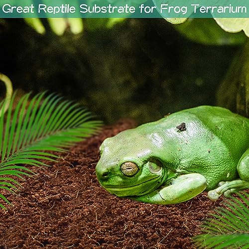 Halatool Compressed Coconut Fiber Substrate for Reptiles | 6 Pack Organic Coconut Substrate, Reptile Bedding for Geckos, Snakes, Lizards, Hermit Crabs & Tarantulas - color: 6 pack