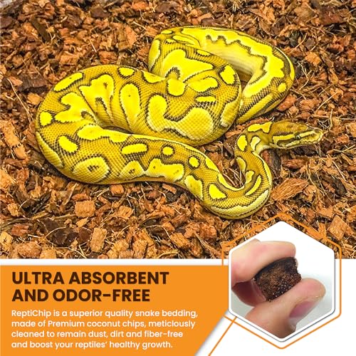 ReptiChip Reptile Substrate Coconut Chip Bedding 72 Quart Compressed Organic Coco Husk Block for Snake Habitat, Ball Python Terrarium, Turtle Tanks, Tortoise Enclosure (10 Pk) - size: 10 Pack Breeder Bundle