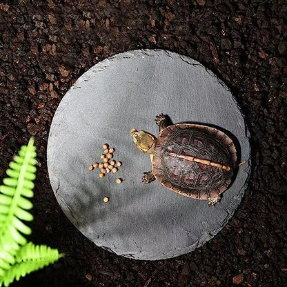 Reptile Basking Platform Rock Tortoise Habitat Slate Rock for Reptiles Food Dish Landscape Habitat Decor Accessories for Crested Gecko Lizard Bearded Dragon Turtle