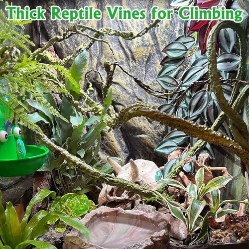 VCEPJH Loose Coconut Fiber Substrate 2 Pack Natural Coco Coir Reptile Bedding and Large Reptile Vines Thick Terrarium Plants 118 Inches Long Flexible Climbing Branch for Bearded Dragon Chameleon Gecko