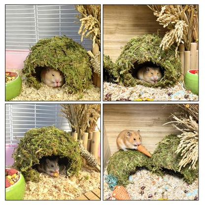 kathson 2Pcs Hamster Hideout, Hamster House, Natural Mossy Coconut Hut, Pet Hiding House, Small Animal Cage Accessories for Mouse Mice Rat Guinea Pigs Reptiles