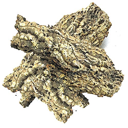 The Bio Dude Virgin Cork Bark Flats - 1 Pound (2-3 PCS) - Amphibians, Reptiles, Orchids, Bromeliads and Terrariums
