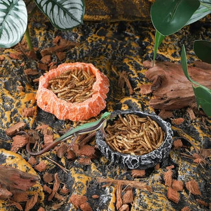 IBWell 2pcs Reptile Water Bowl with Feeding Tweezers - Food Dish for Lizard, Snake, Tortoise & Small Animals - Loess
