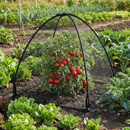 DECOHS 2 Pcs Pop-Up Mesh Plant Cover Tent, 30 x 28 x 28 Inch Garden Net Cage Guard Cover, Plant Protector Enclosure with 12 Ground Stakes for Protecting Plants Vegetable Fruit from Birds Insects - color: 30 x 28 x 28 inch