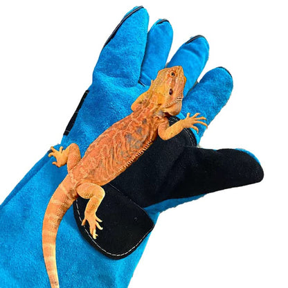 Animal Handing Gloves Bite Proof 23.7 Inch Kevlar Reinforced Multipurpose Pet Leather Glove Padding Dog,Cat Scratch,Bird Handling Falcon Gloves Grabbing,Reptile Squirrel Snake Bite