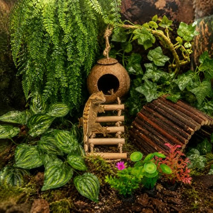 RUNANIA Crested Gecko Tank Accessories，Reptile Vines Plants with Coconut Shell Ladder Hideout Hermit Crab Decor for Leopard Gecko Lizard Chameleon Tortoise Snake Terrarium Decor