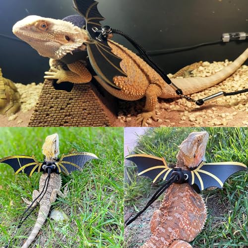 Bearded Dragon Carrier with Harness and Leash Set Large Small Animal Carrier Backpack Bubble Window Portable Small Pet Carrier for Reptile Lizard Rabbit Bird Guinea Pig Cat Travel Walking - color: Bearded Dragon Carrier