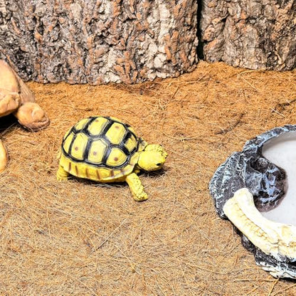 Hamiledyi 118x11.8in Reptile Carpet Coconut Fiber Substrate Large Snake Bedding Coco Liner Roll Mat for Bearded Dragon Tortoise Lizard Habitat Pad Garden Decoration - size: 11.8x118inch