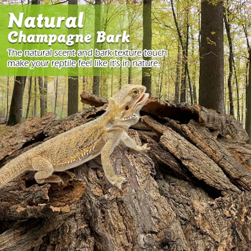 Reptile Cork Bark Bulk 1.5 Lb Cork Wood for Terrarium, Natural Flat Cork Bedding Terrarium Substrate for Bearded Dragon Snake Spiders Hermit Crabs Geckos Tortoise