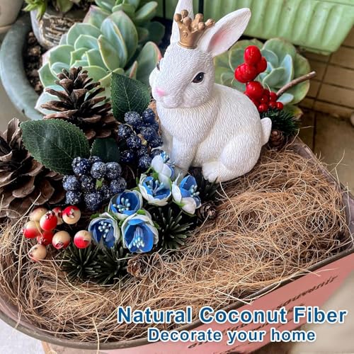 Coconut Husk Fiber 0.11 Pounds Organic Natural Coconut Shell Fiber Silk for Pot Plants Orchids Various Scenarios - size: 50 grams/0.11 pounds