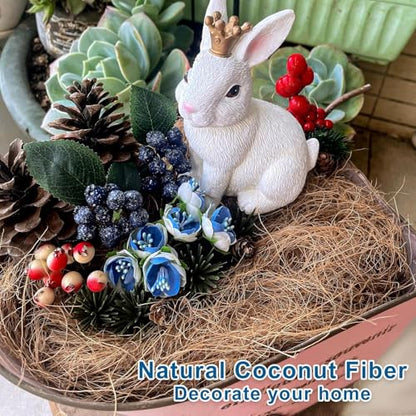 Coconut Husk Fiber 0.11 Pounds Organic Natural Coconut Shell Fiber Silk for Pot Plants Orchids Various Scenarios - size: 50 grams/0.11 pounds