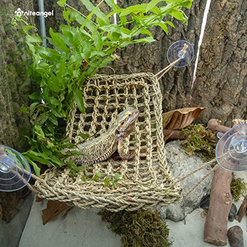 Niteangel Bearded Dragon Hammock Reptile Lounger for Chameleon, Lizards, Gecko, Snakes, Lguana Reptiles, Tortoises (Rectangle 16'' x 8'') - size: Rectangle 16'' x 8''