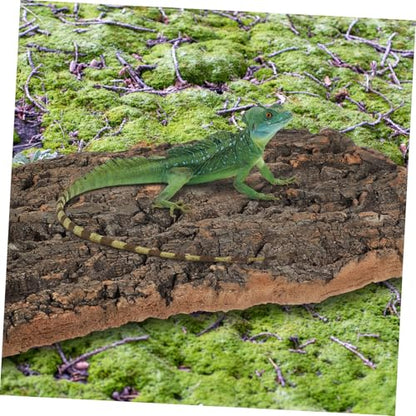 MERRYHAPY 2pcs Reptile Cork Bark for Aquarium and Terrarium Decor Flexible Climbing Ornament for and Fish Tanks and Natural Bark Centerpiece