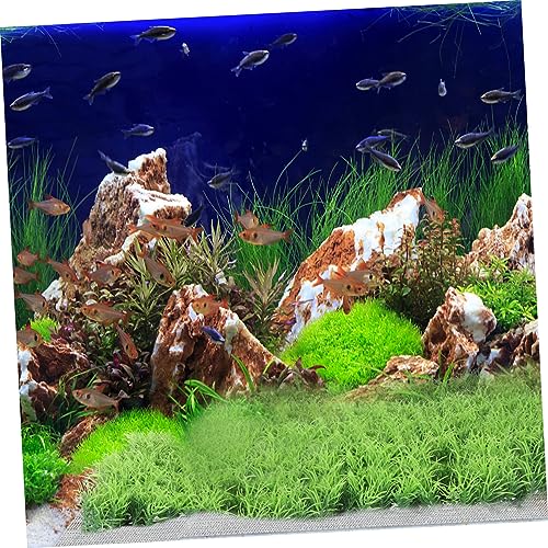 POPETPOP 10Pcs Stainless Steel Aquatic Moss Mesh Net for Fish Tank Planting Waterproof Plant Moss Carpet Net for Aquarium Decoration