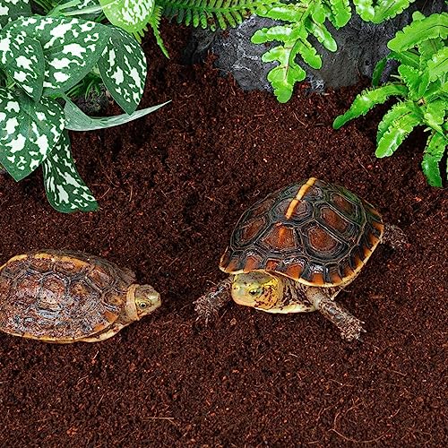 REPTI ZOO Reptile Coconut Fiber Substrate 72 Quart, Reptile Bedding Coco Coir Brick for Turtle, Hermit Crab, Spider, Frog | 100% Organic | Odor Absorption - style: Coconut Fiber Substrate