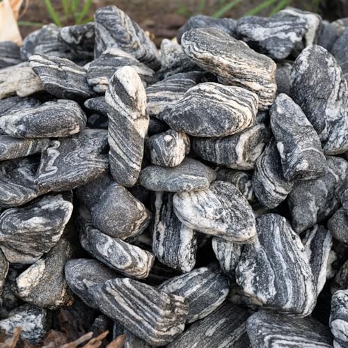 Aquarium Rocks Silver Seiryu Rock 5lb Natural Stone for Fish Tanks, Terrariums, Bonsai, Garden Decoration, Micro Landscapes & Reptile Terrariums(2-5inch 4-5Pcs) - size: 5lb (2-5inch)
