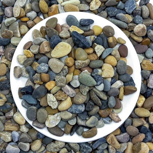 SIDONG 20LB Natural Aquarium Gravel, Small River Rocks for Fish Tank, Garden & Vase Decor - 2/5 Inch Pea Gravel, 8-12mm Polished Stones for Landscaping, Potted Plants, Terrarium - color: 20lb, size: 8-12mm