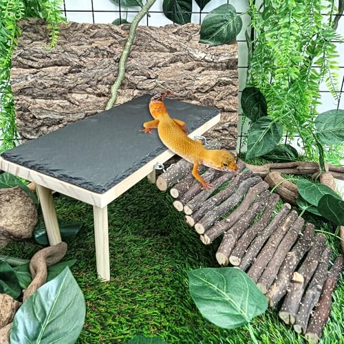 BNOSDM Bearded Dragon Basking Rock Platform with Climbing Ramp Reptiles Hideout Hide Cave Reptile Tank Accessories Suit for Tortoise, Lizard, Toad, Gecko (Large)