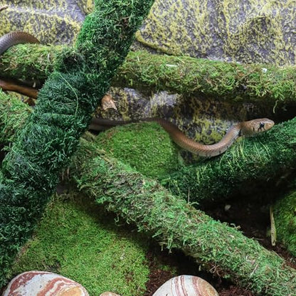 Galapagos (22210) Mossy Perch for Aquarium, 24", Fresh Green