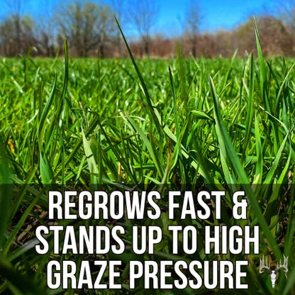 Crooked Bend Memas Moo Mix, 25LB Bulk, Farm Pasture Seed Blend for Horse, Cattle, Pig, Goat, Chicken, Duck, Sheep & Livestock, Grow Alfalfa & Perennial Grasses Fields, Graze Resistant, Cold Tolerant - size: 25 pounds