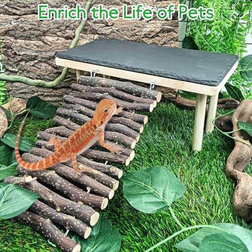 BNOSDM Bearded Dragon Basking Rock Platform with Climbing Ramp Reptiles Hideout Hide Cave Reptile Tank Accessories Suit for Tortoise, Lizard, Toad, Gecko (Large)