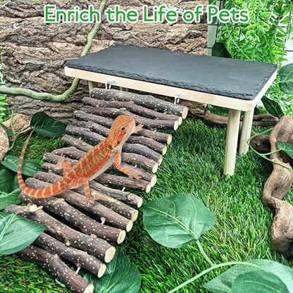 BNOSDM Bearded Dragon Basking Rock Platform with Climbing Ramp Reptiles Hideout Hide Cave Reptile Tank Accessories Suit for Tortoise, Lizard, Toad, Gecko (Large)