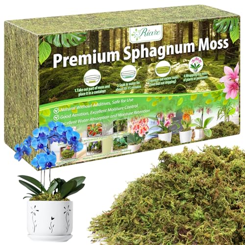 Riare 1.3LBS Premium Sphagnum Moss for Plants- 25QT Natural Dried Plant Moss for Potted Plants, Orchid Moss for Repotting, Soft Green Decorative Moss for Succulents, Reptiles & DIY Crafts - color: 25 QT(Appx.1.3lbs)