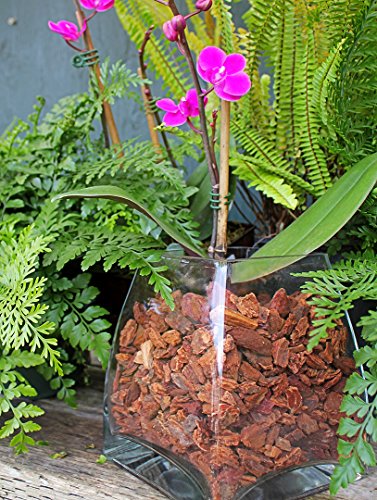 SuperMoss (23114) Orchid Potting Bark, Natural, 4 quarts - size: 231 Cu. In., style: Natural