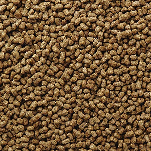 Mazuri | Bearded Dragon Food - Insect Portion of a Complete Diet | 8 Ounce (8 oz) Bag - size: 8 Ounce (8 oz) pack of 1