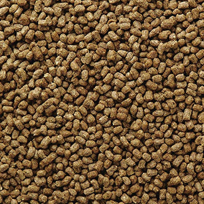 Mazuri | Bearded Dragon Food - Insect Portion of a Complete Diet | 8 Ounce (8 oz) Bag - size: 8 Ounce (8 oz) pack of 1