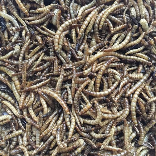 4LB Dried Mealworm & Fly Larvae