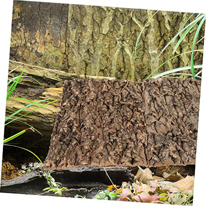 ibasenice 2pcs Cork Reptile Bark Decor Turtle Basking Platform Snake Climbing Bark Reptile Decorations Stain Resistant Terrarium Decor