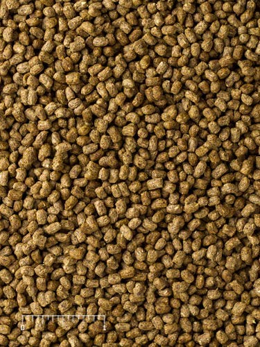 Mazuri® Herbivorous Reptile Diet | Food for Plant-Eating Herbivorous Lizards, Green Iguanas, Uromastyx Lizards | 25 Pound (25 LB) Bag