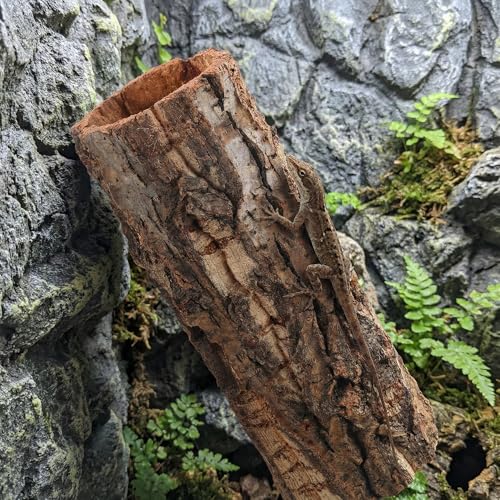 DECHOUS Natural Cork Bark for Reptile Hideout Round Cork Bark Tube Terrarium Accessories 7.8x3in Wood Tree Trunk Climbing Hide for Gecko Lizard Snake Spiders Bearded Dragons Tank Decor