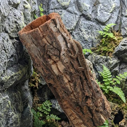 DECHOUS Natural Cork Bark for Reptile Hideout Round Cork Bark Tube Terrarium Accessories 7.8x3in Wood Tree Trunk Climbing Hide for Gecko Lizard Snake Spiders Bearded Dragons Tank Decor