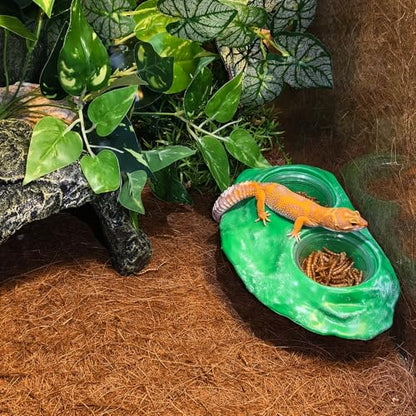 Tfwadmx Magnetic Reptile Feeder Ledge, Gecko Feeder Ledge with 4 Cups Reptile Feeding Bowl Terrarium Accessories for Geckos Lizards Chameleons Frog (Green) - color: Green