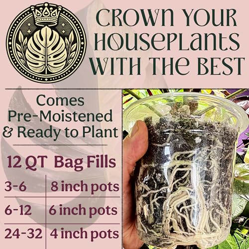 Craft Organic Houseplant Potting Mix, Elite House Plant Soil, Chunky, Well Draining Potting Soil for All Indoor Plants, Tropical Plants & Flowers, Sustainable & Peat Free, Less Prone to Gnats, 12QT - size: 12qt