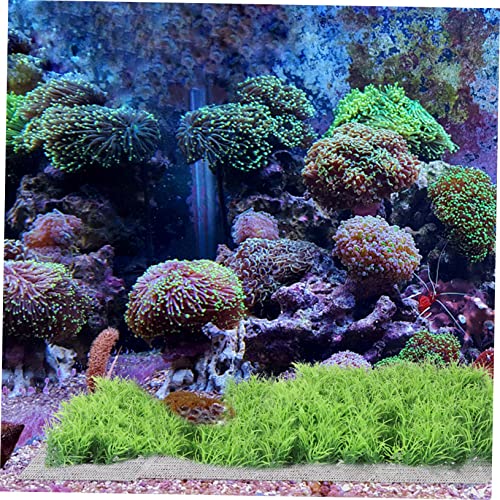 MERRYHAPY Stainless Steel Aquatic Plant Mesh Moss Carpet Net Netting Material for Fishtank Safe for Years