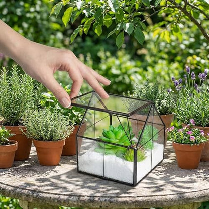 Ferrisland Glass Plant Terrarium Container Wardian Case Indoor Small Succulent Terrarium Planter w/Door for Tabletop Decor DIY - 4.9"x4.3"x4.3" - size: 4.3"L x 4.3"W x 4.9"H