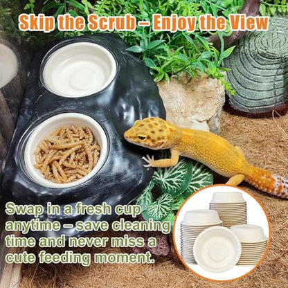 Tfwadmx 200Pcs Paper Gecko Feeding Cups,Samll 1oz Crested Gecko Food Dish,Reptiles Food and Water Bowls Feeder Ledge Accessories Cups for Lizards,Spiders,Frogs - size: 200 pcs