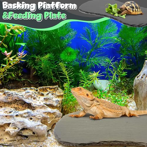 Shinylin 2 Pack Reptile Basking Platform, 11''x5.5'' Tortoise Slate Rocks Feeding Bathing Resting Slate Basking Platform for Bearded Dragon Turtle Lizard Gecko Chameleon Snake Frog