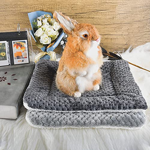 Small Animal Bed Mat, Soft & Warm, Suitable for Guinea Pig, Hamster, Rabbit, Rat and Bearded Dragon (X-Large(13.3''x9.4''), Footprint White) - color: Footprint White, size: X-Large(13.3''x9.4'')