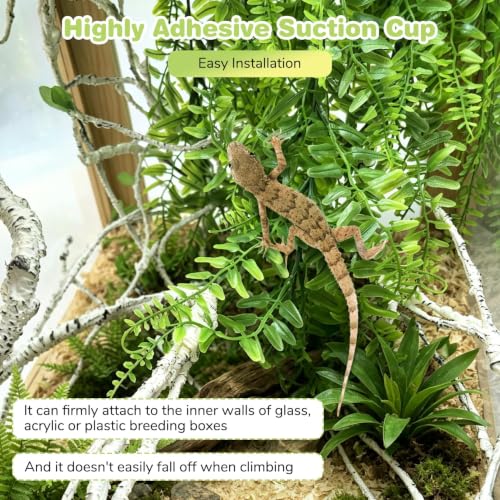 PINVNBY Reptile Plants Hanging Fake Vines Boston Climbing Terrarium Plant with Suction Cup for Bearded Dragons Lizards Crested Gecko Snake Hermit Crab and Tank Habitat Decorations (2 Pack) - size: 2 PCS